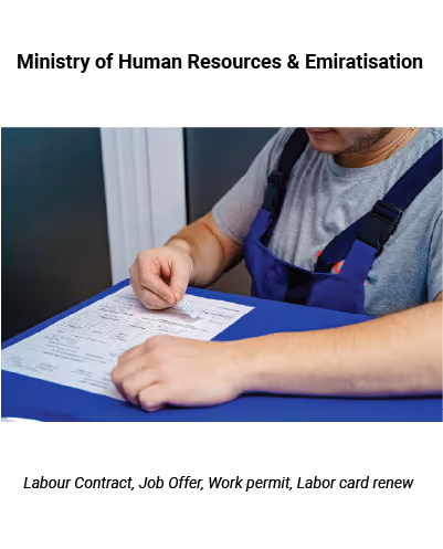 Job Offer Typing